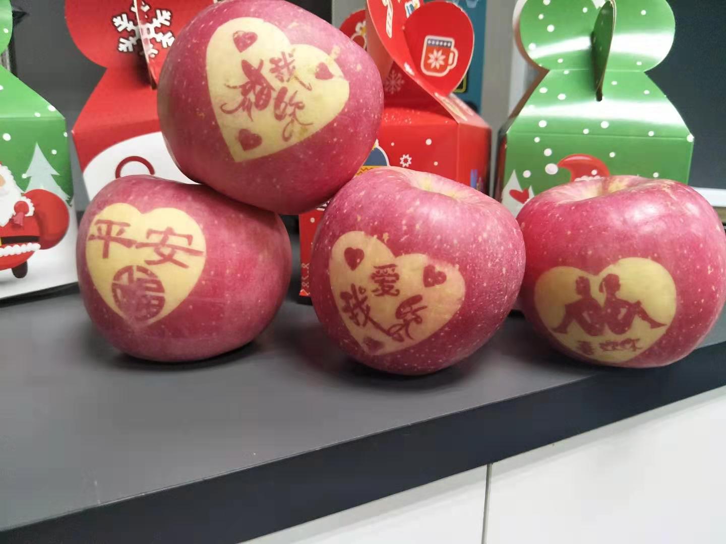 苹果新品种瑞香红的性状与特质 - 知乎